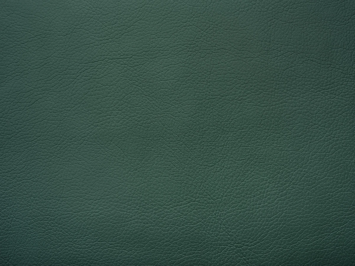 Leonardo Cappellini (Леонардо Капеліні) 08 FROZEN LAKE 