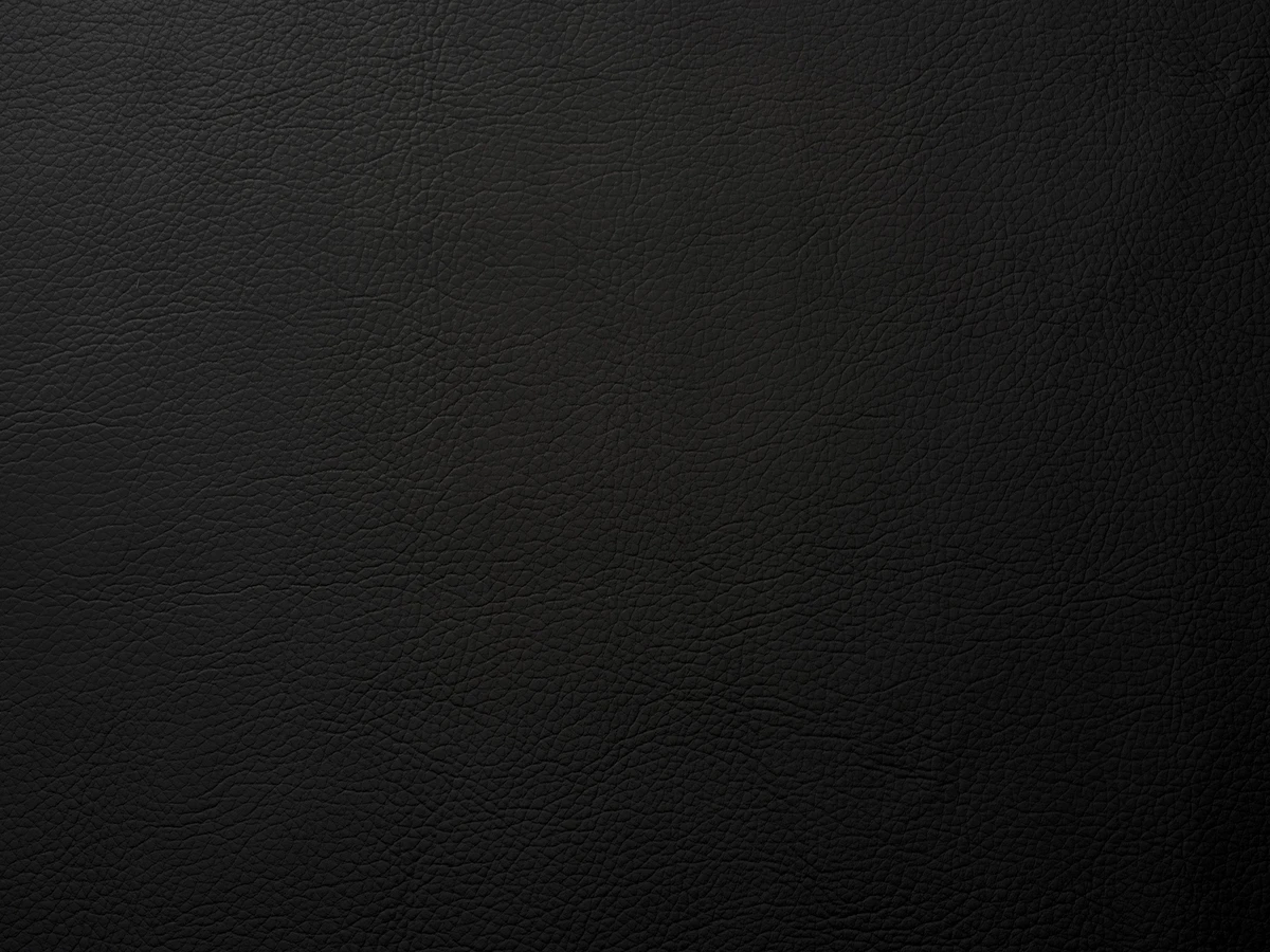 Leonardo Cappellini (Леонардо Капеліні) 12 SNOW STORM 