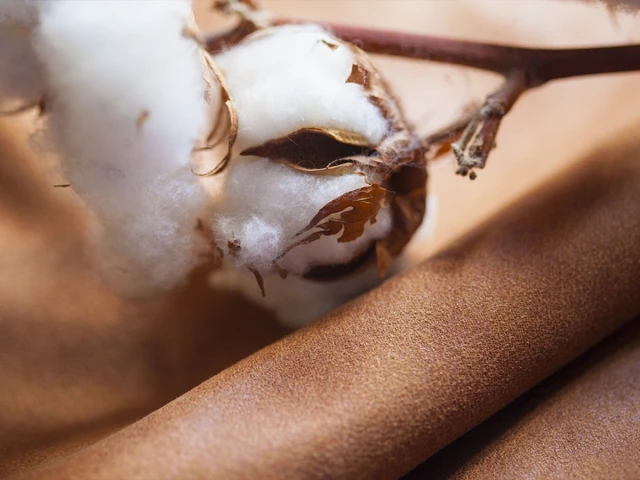 Belgium(Бельгіум) 