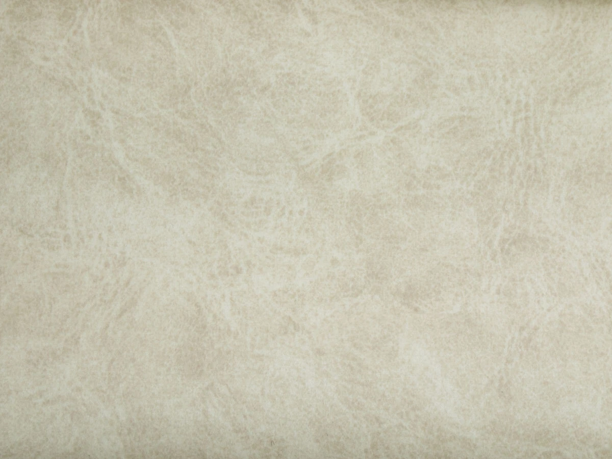 Camel (Кэмел) 21 Latte 