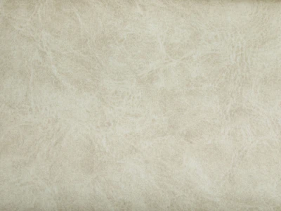 Camel (Кэмел) 21 Latte