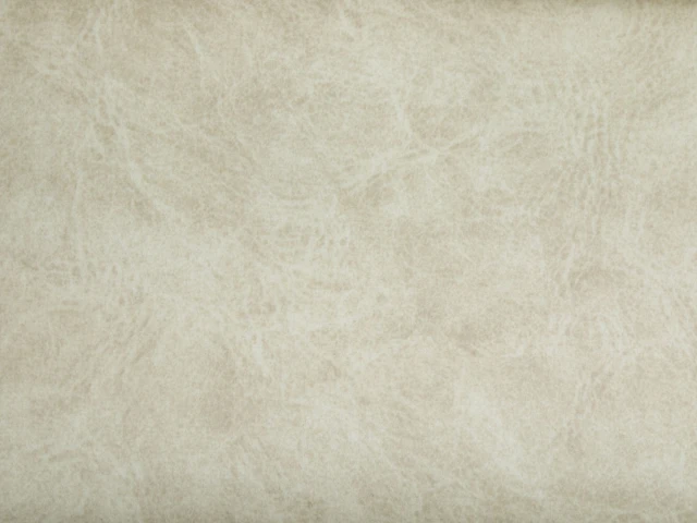 Camel (Кэмел) 21 Latte 