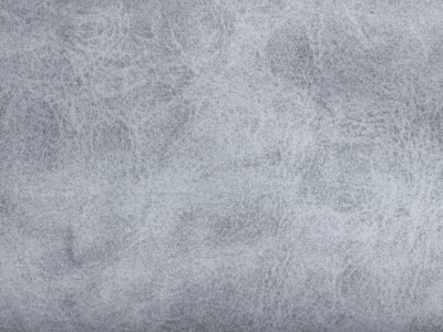 Camel (Кэмел) 23 Silver