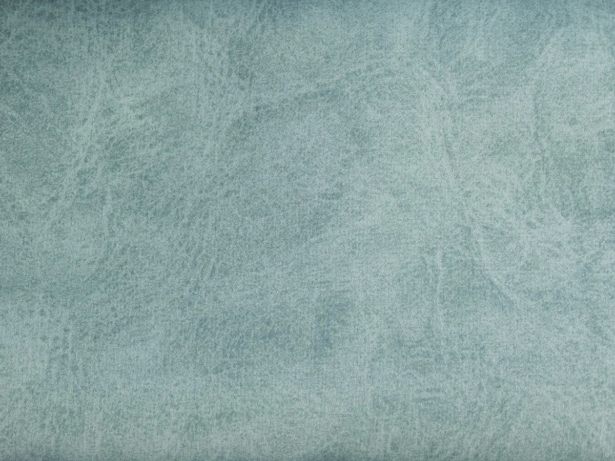 Camel (Кэмел) 24 Arctica 