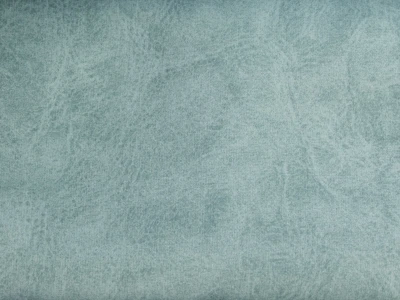 Camel (Кэмел) 24 Arctica