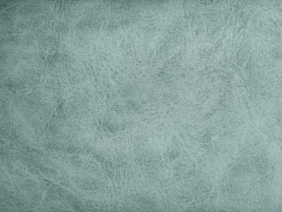 Camel (Кэмел) 26 Mint