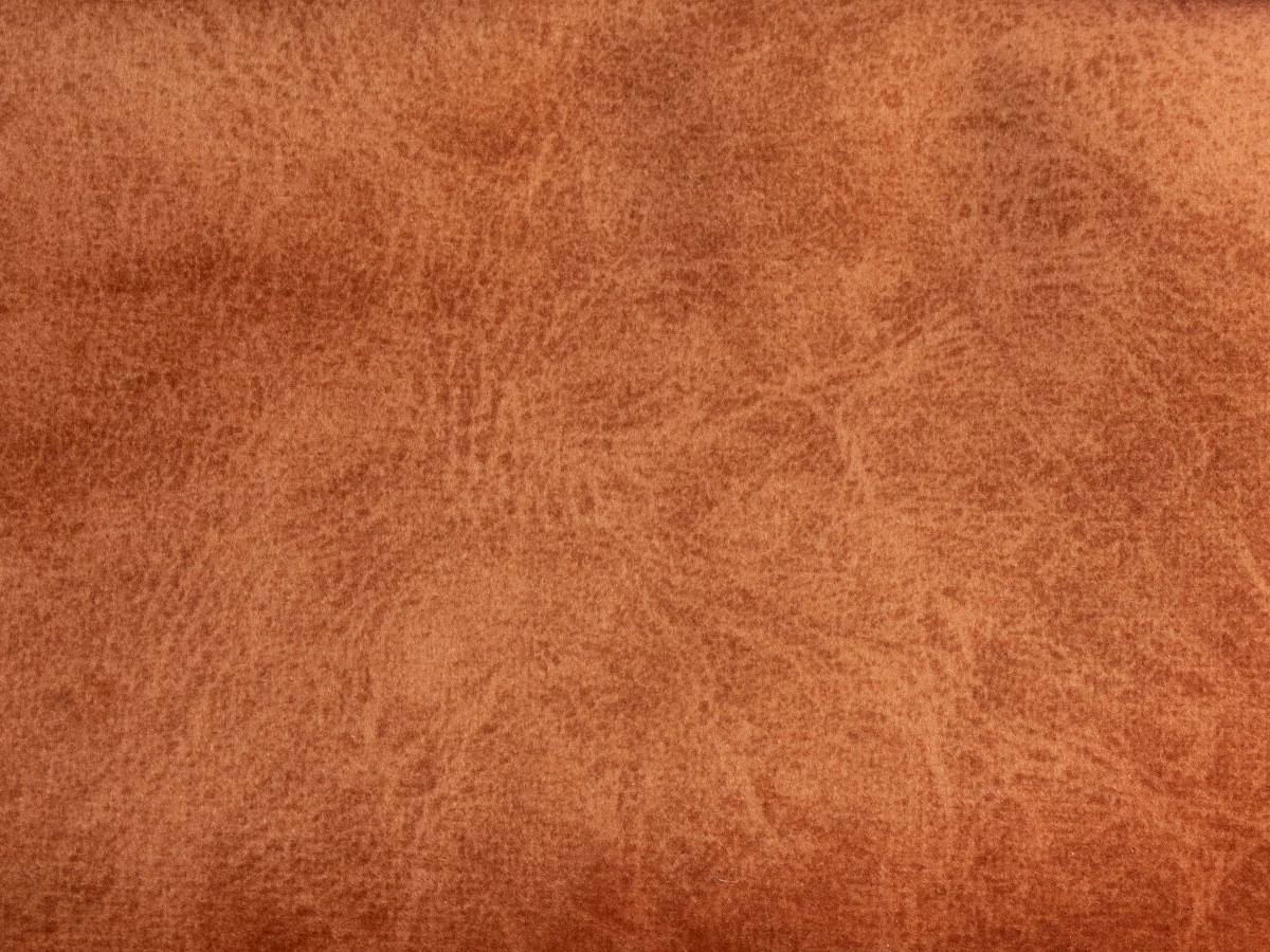 Camel (Кэмел) 27 Fox 