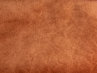 Camel (Кэмел) 27 Fox