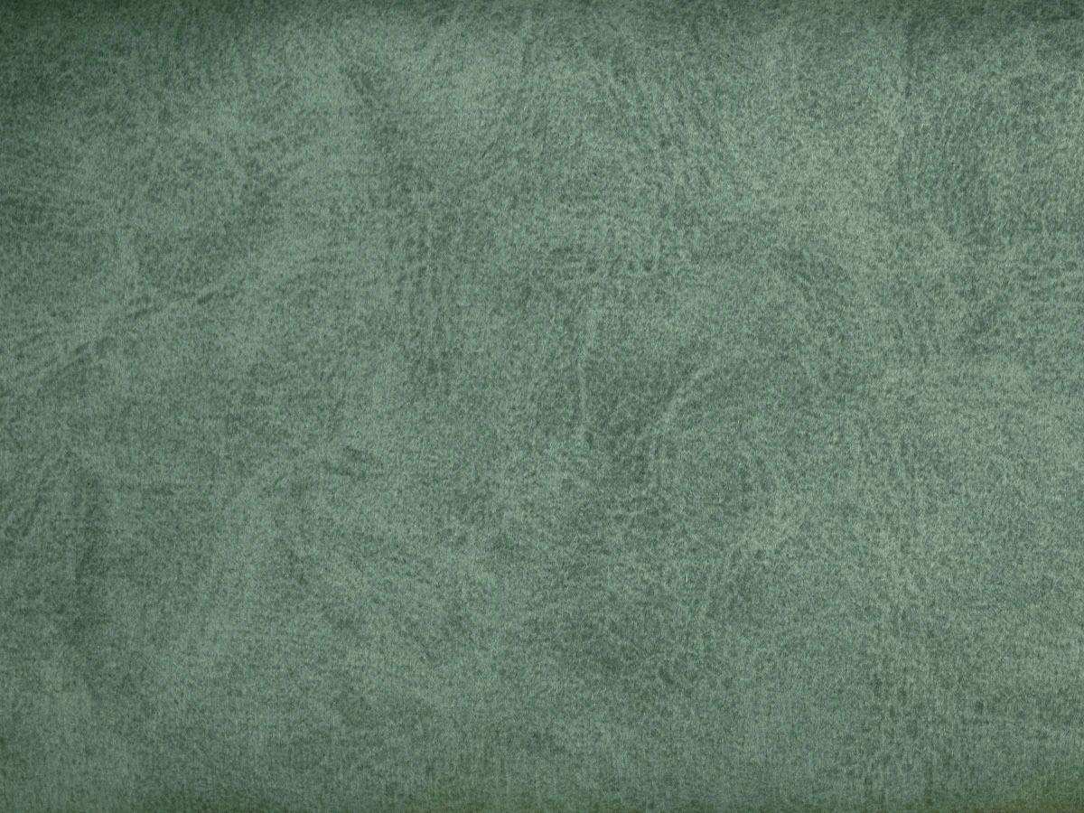 Camel (Кэмел) 28 Moss 