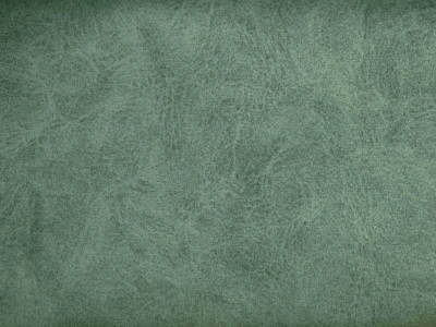 Camel (Кэмел) 28 Moss