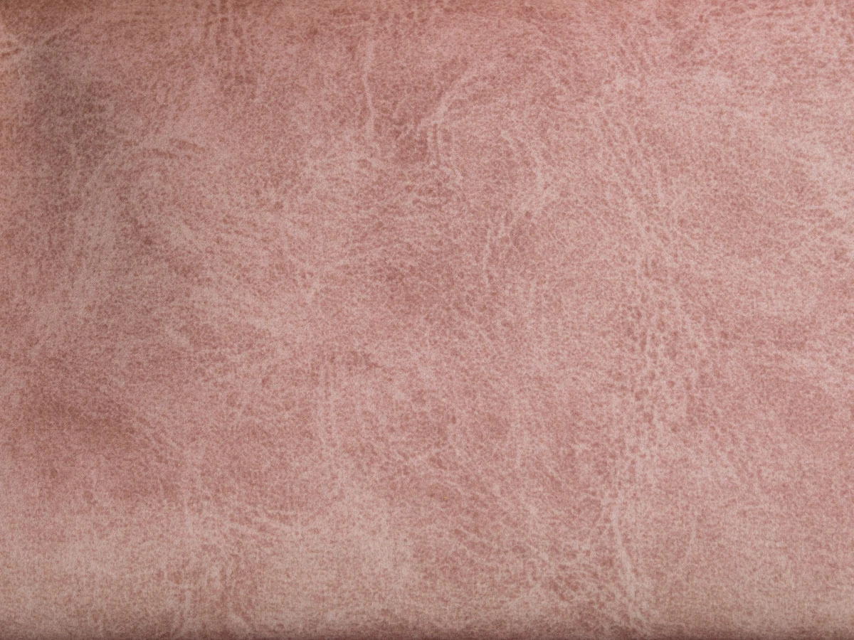 Camel (Кэмел) 29 Pink 