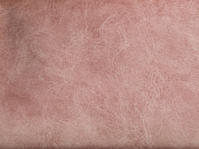 Camel (Кэмел) 29 Pink 