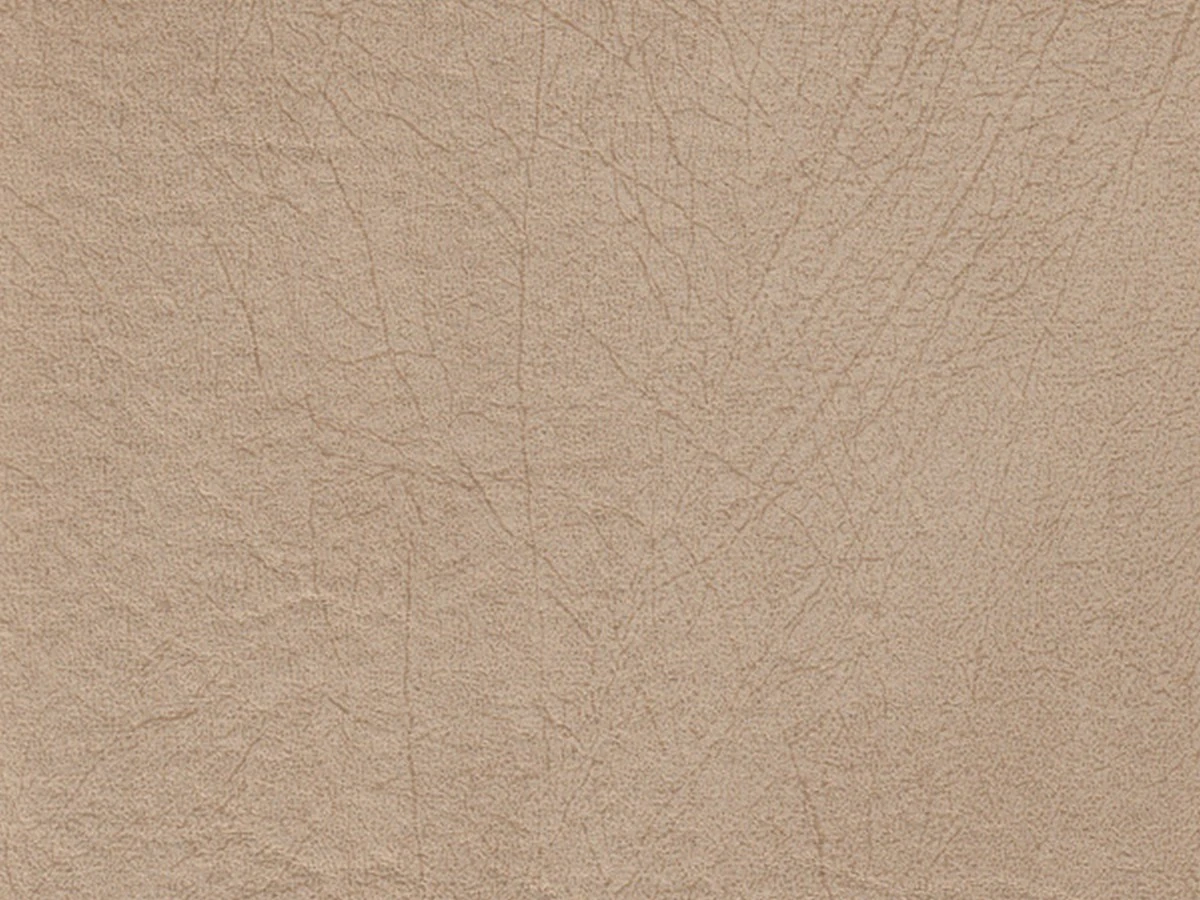 Polo (Поло) 02 Бежевий 