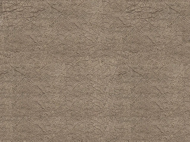 Polo (Поло) 03 Темно-бежевий 