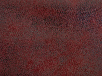 Vegas (Вегас) 8