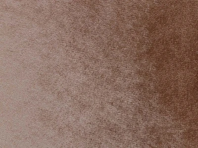 Safari (Сафари) 331