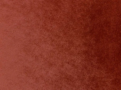 Safari (Сафари) 343