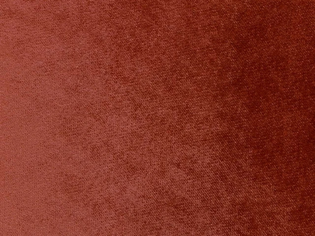 Safari (Сафари) 343 