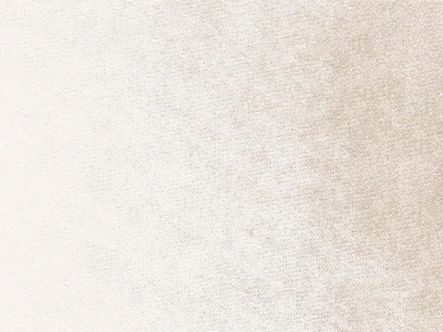 Safari (Сафари) 679