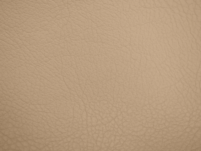 Штучна шкіра №17 