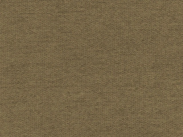 Victoria (Вікторія) 04 Camel 