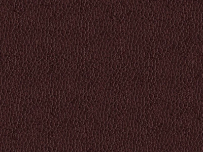 Alfa (Альфа) 07 Шоколадний