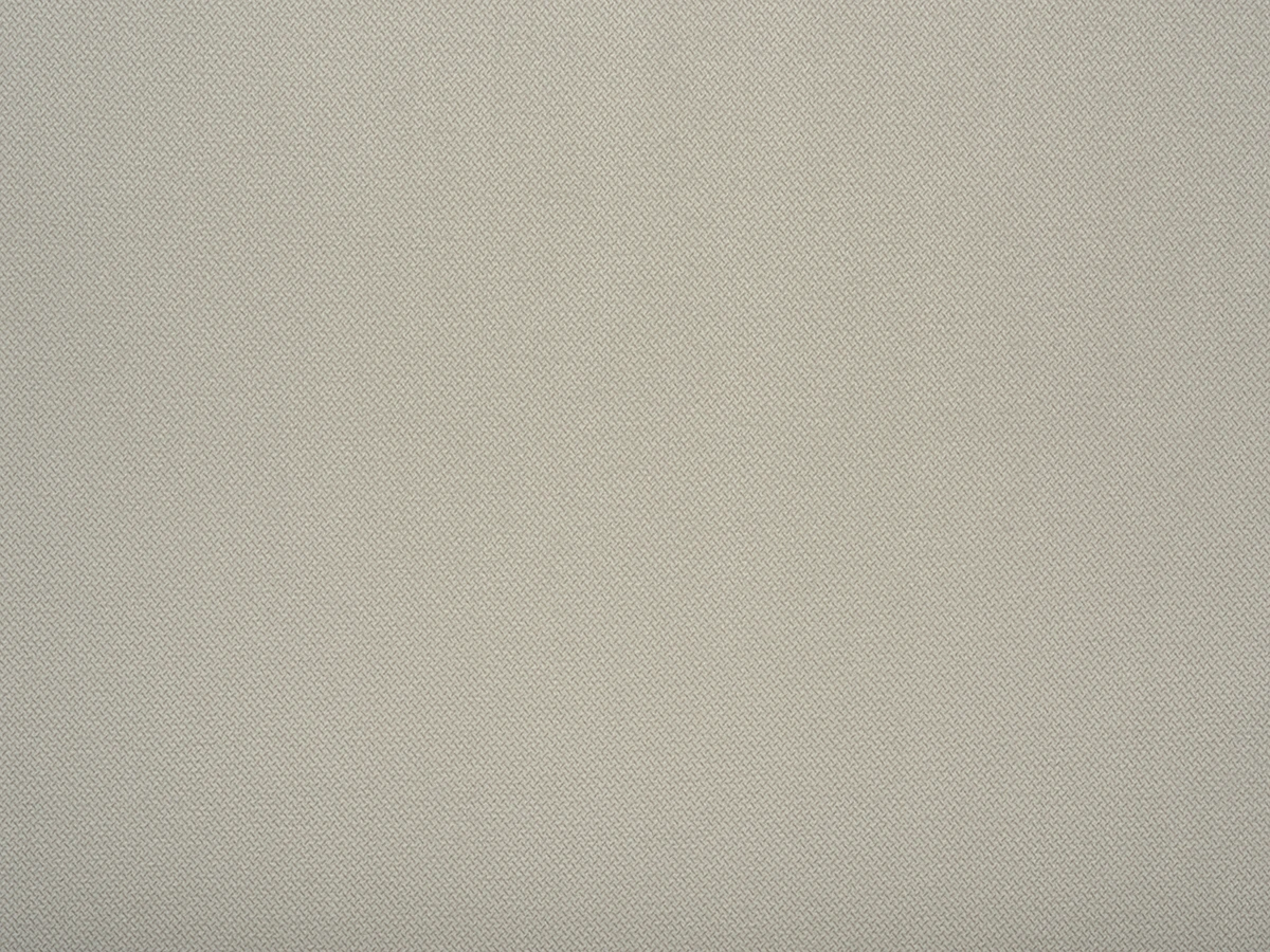 Daisy (Дейзи) 03 Серебро 