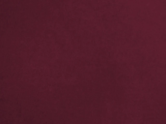 Van Cleef (Ван Клиф) 27 