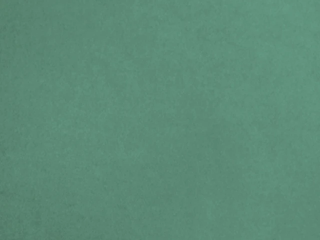 Van Cleef (Ван Клиф) 31 