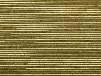 MT 068 (МТ 068) 10 Зелений