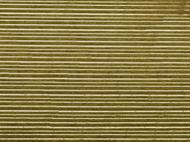 MT 068 (МТ 068) 10 Зелений 