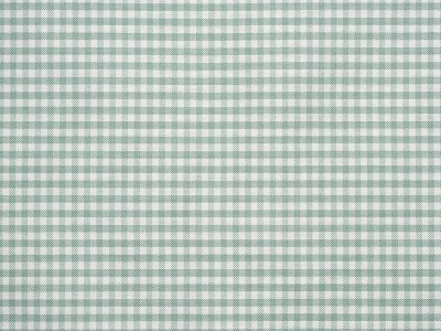 Arkansas (Арканзас) 51 Голубой