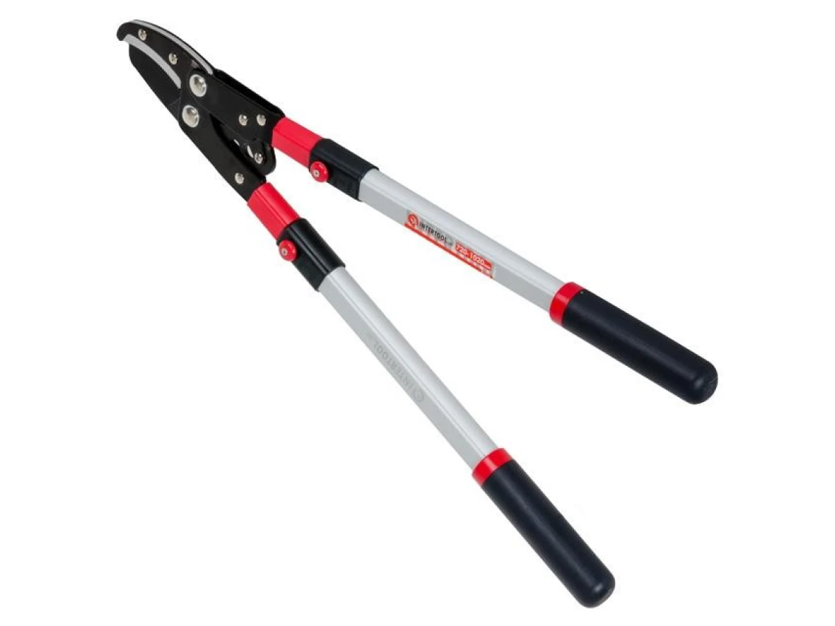 Гілкоріз садовий з телескопічними ручками INTERTOOL FT-1116 