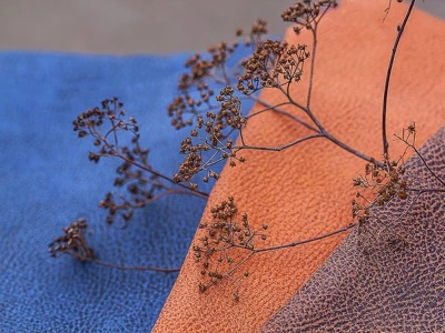 Kalipso (Калипсо)