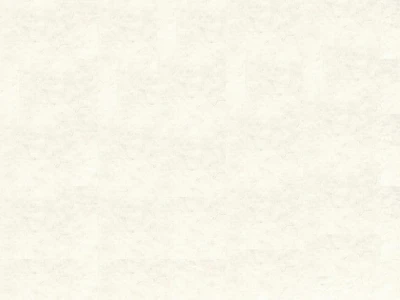 Anfora(Анфора) 3511 Молочний