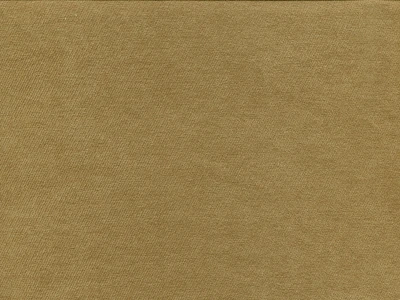 Fudji (Фуджи) 4 Горчичный