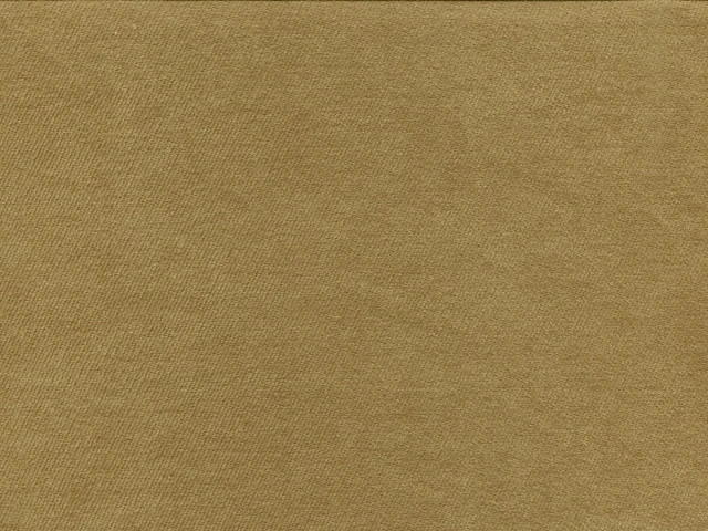 Fudji (Фуджи) 4 Горчичный 