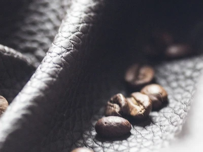 Aurora (Аврора)