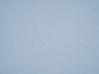 Braid (Брэйд) 3027 Голубой