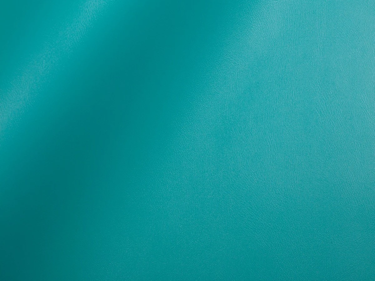 Skaden (Скаден) 6021 Морська хвиля 