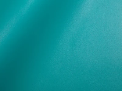 Skaden (Скаден) 6021 Морська хвиля