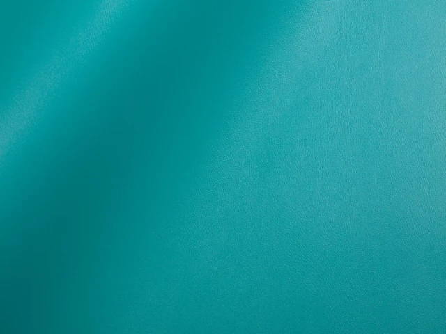 Skaden (Скаден) 6021 Морська хвиля 