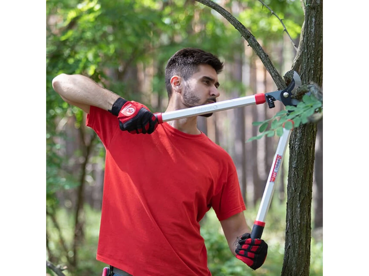 Сучкоріз садовий для обрізання гілок 680 мм INTERTOOL FT-1111 