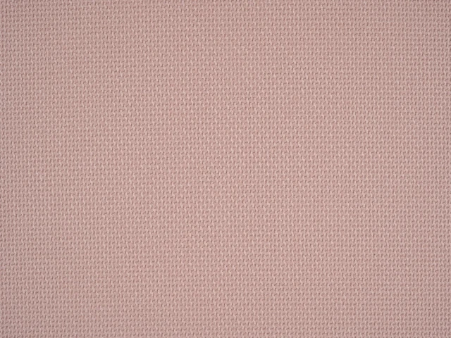 Braid (Брэйд) 3003 Светло-розовый 