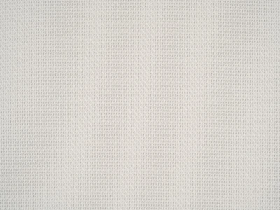 Braid (Брэйд) 3004 Тепло-белый