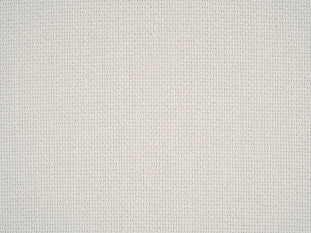 Braid (Брэйд) 3004 Тепло-белый 