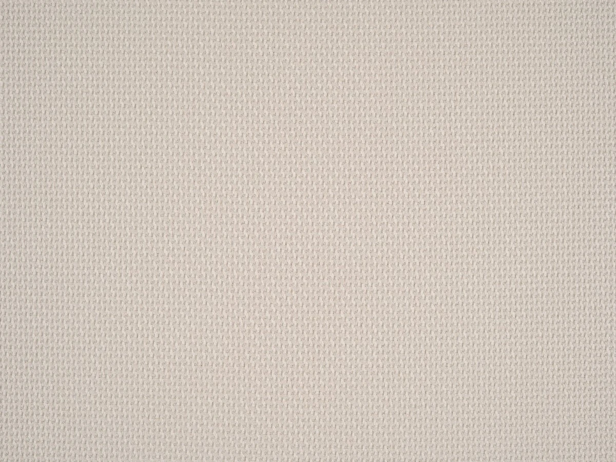 Braid (Брэйд) 3005 Телесный 