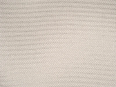 Braid (Брэйд) 3005 Телесный