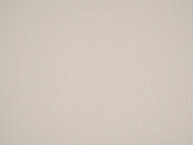 Braid (Брэйд) 3005 Телесный 