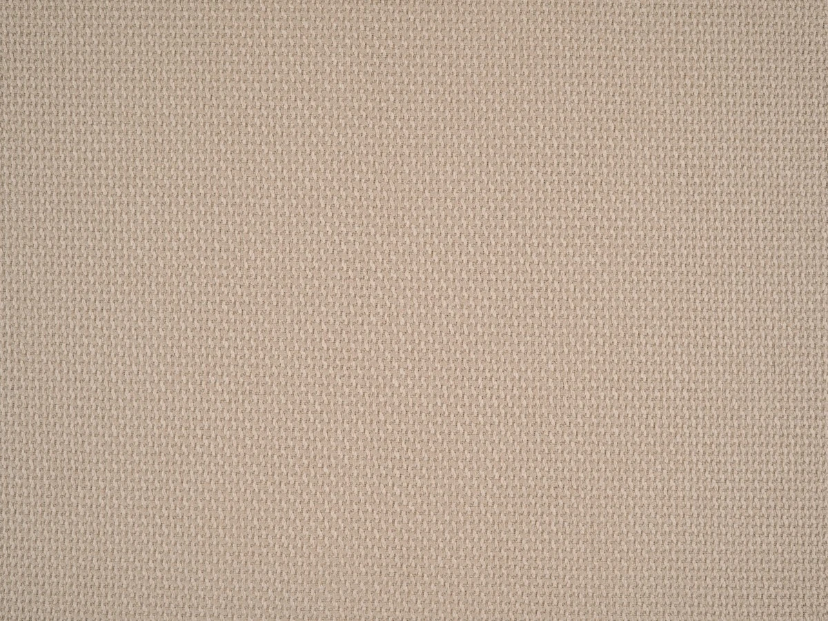 Braid (Брэйд) 3008 Бежевый 